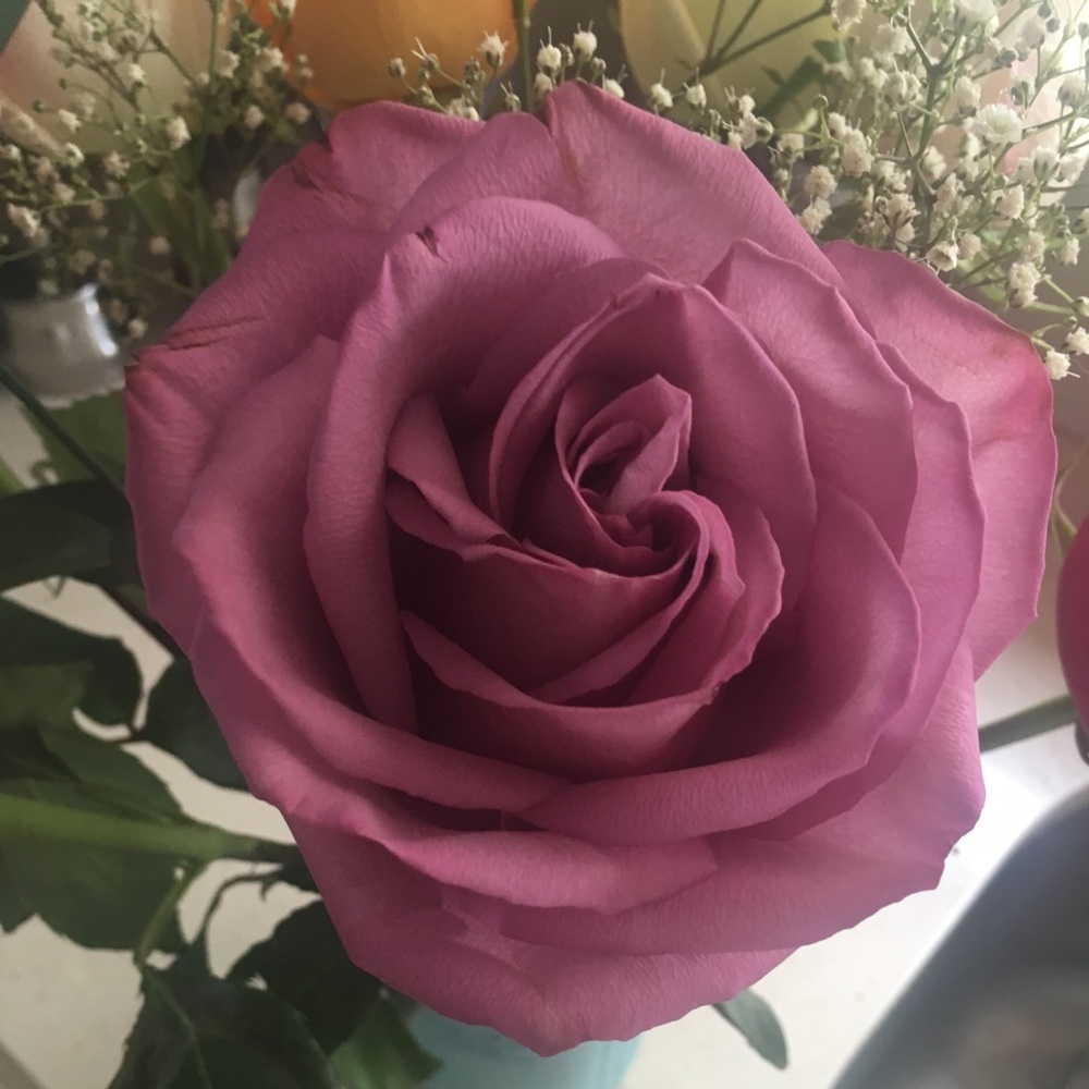 Meet your Posher, Nancy